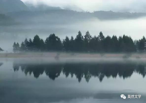 山水原著最新消息