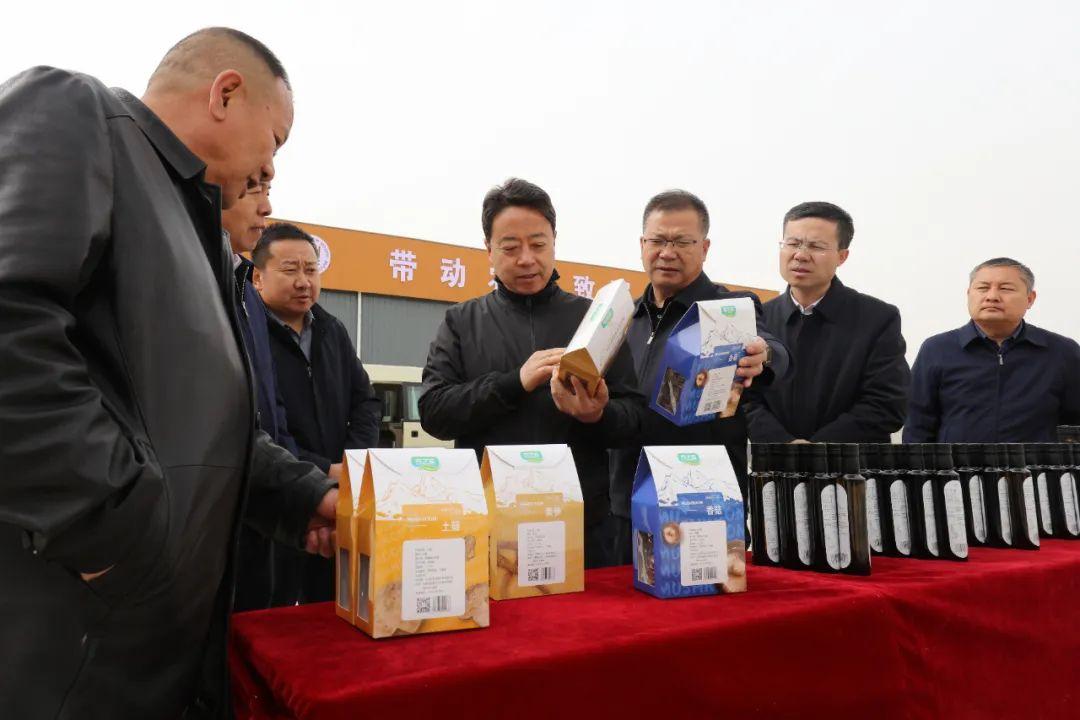 清泉城市广场最新动态，科技引领生活，未来繁华体验启幕