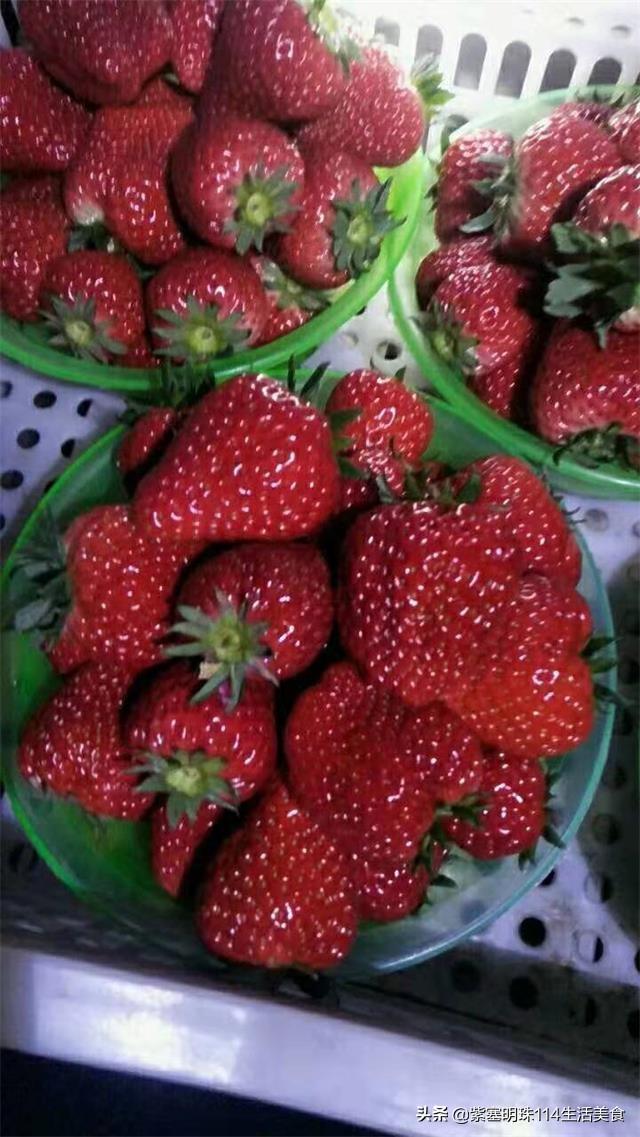 宋庄镇棚改最新动态